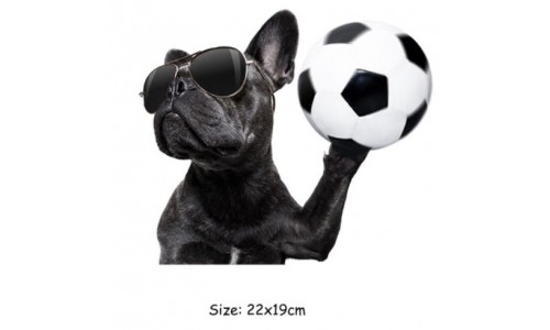 Aplikacija Šuo su kamuoliu