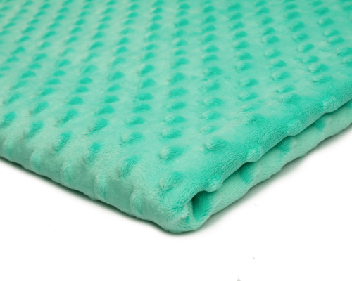 Minky Fabric Mint