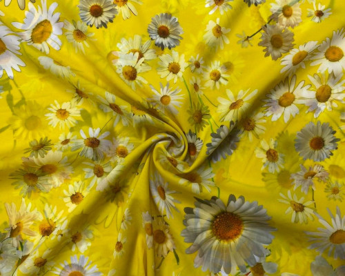 Silk Daisies