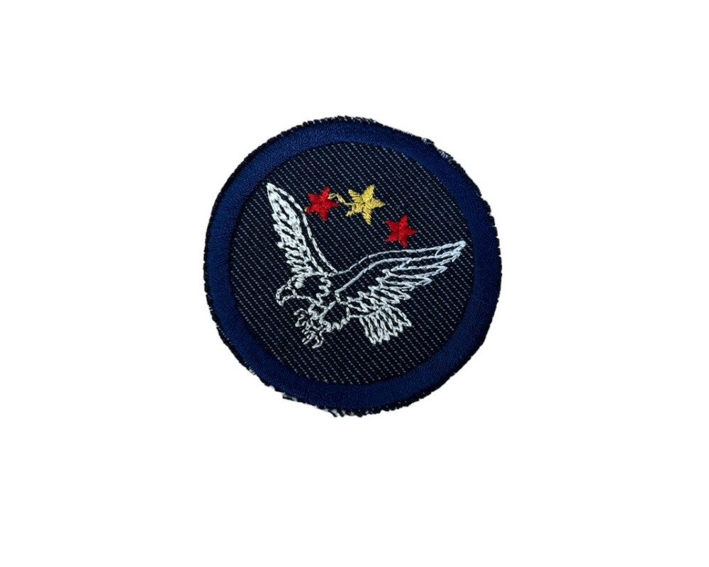 The application Eagle - 1