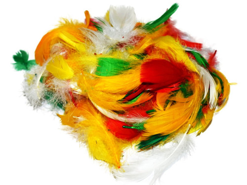 Decorative feathers 11gr | 4 colours