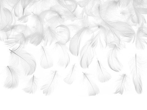 Dekoratyvinės plunksnos 3gr | Baltos - 1