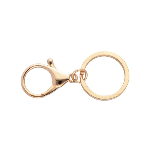 Key ring with carabiner | Gold