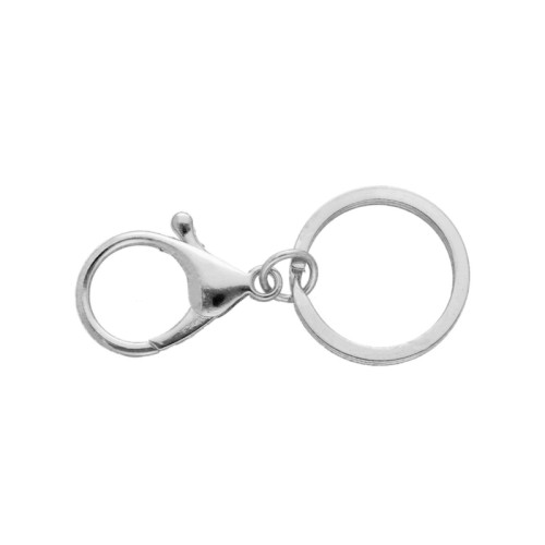 Key ring with carabiner | Nickel