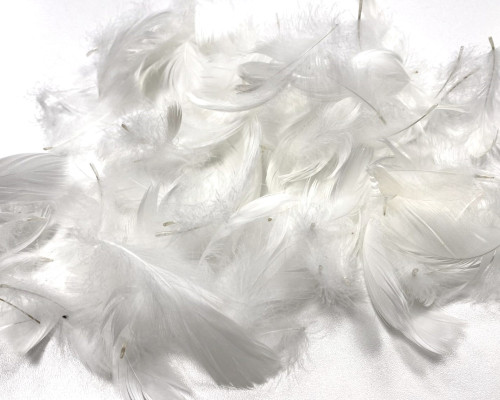 Decorative feathers 15gr | White