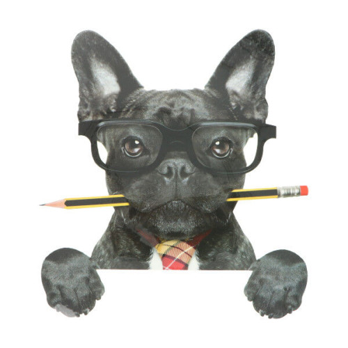 Application Dog with pencil - 1