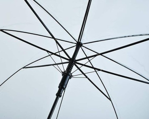 Skaidrus skėtis - 1