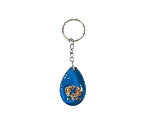 Keyring Fish