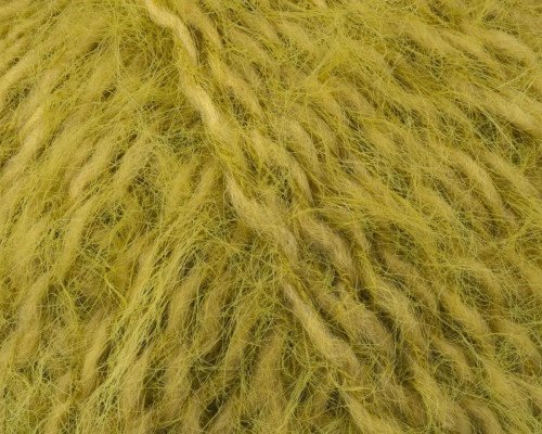 Gazzal Teddy 6556 Alyvuogės - 1