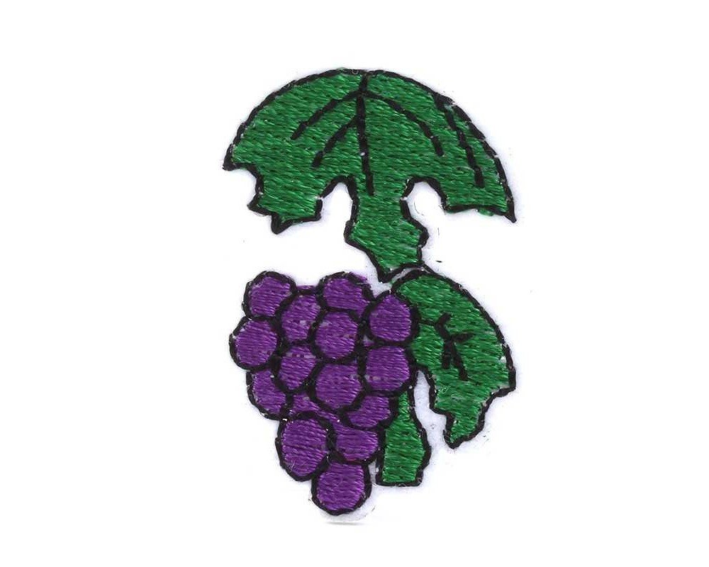 Aplikacija Drugelis 6