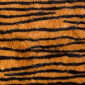 Faux fur Tiger