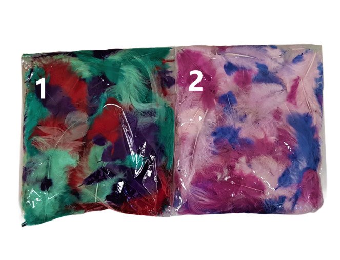 Decorative feathers Variegated 2