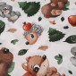 Cotton - canvas Forest pigiau