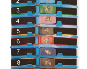 Children's belt