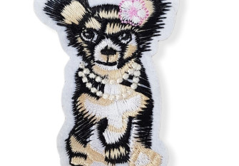 Chihuahua app