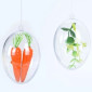 Clear plastic egg 5pcs internetu