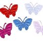 Butterflies for decorations 35mm