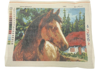 Embroidery painting Horse 1057