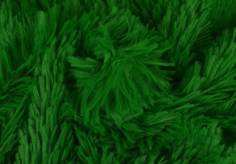 Faux fur - plush Green
