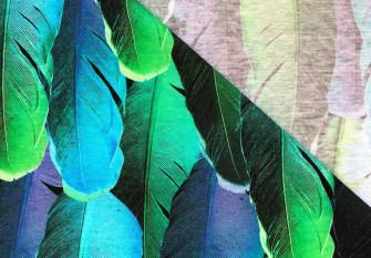 Cotton jersey Feathers