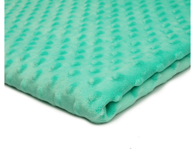 Minky audinys Mėtinis