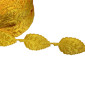 Dekoratyvinė juostelė Geltoni lapeliai 20x40mm