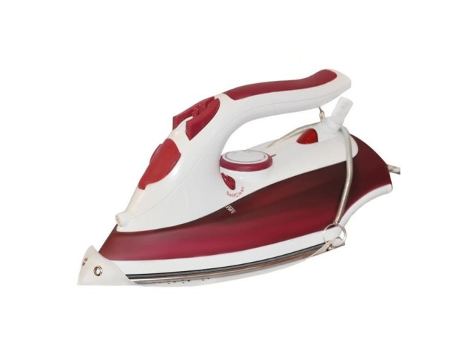 Iron soleplate