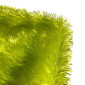 Faux fur - plush Salad internetu