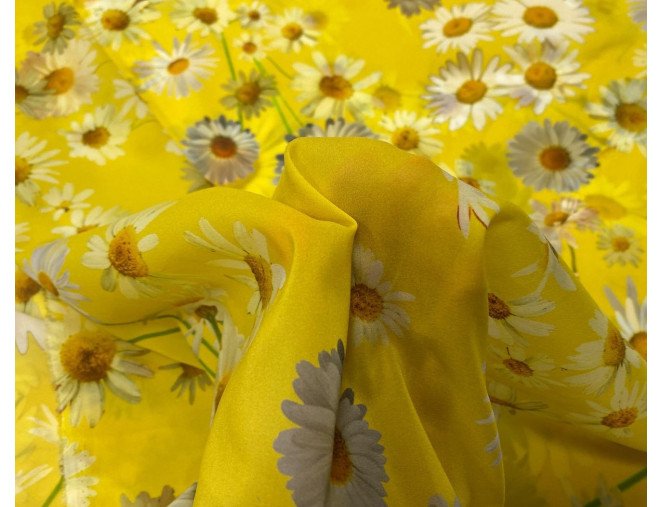 Šilkas Ramunės internetu