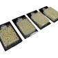 Beads - seed beads Ekru 100gr | 5 sizes