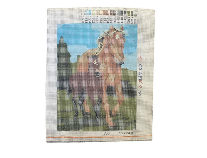 Siuvinėjimo paveikslas Arkliai