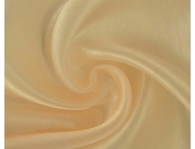 Organza Champagne