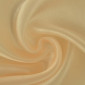 Organza Champagne