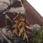 Waterproof fabric Kodura Forest