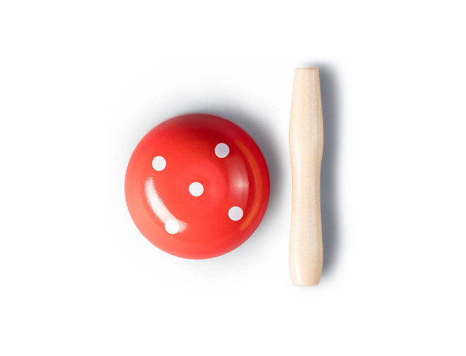 Medinis grybas adymui Prym pigiau