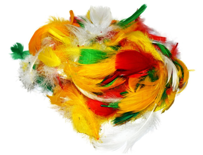 Dekoratyvinės plunksnos 11gr | 4 spalvos