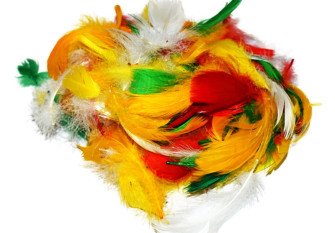 Decorative feathers 11gr | 4 colours