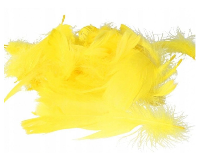 Dekoratyvinės plunksnos 11gr | 4 spalvos pigiau