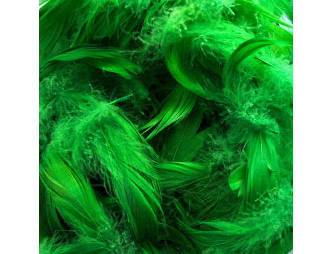 Dekoratyvinės plunksnos 11gr | 4 spalvos internetu