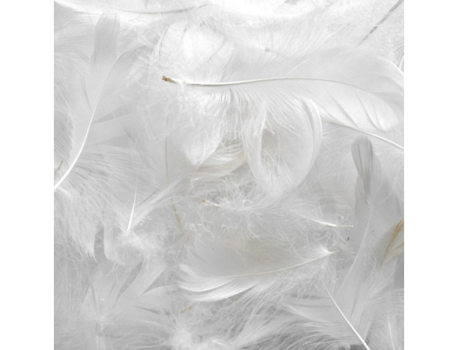 Dekoratyvinės plunksnos 11gr | 4 spalvos skubus pristatymas