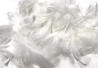 Decorative feathers 15gr | White
