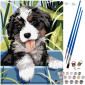 Painting by numbers 30x40cm Dog