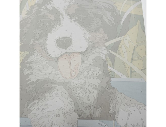 Painting by numbers 30x40cm Dog internetu