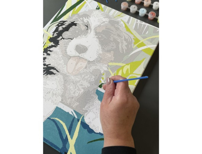 Painting by numbers 30x40cm Dog