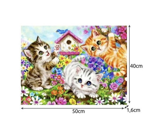 Tapymo paveikslas pagal skaičius 40x50cm Katės pristatymas per 1-4 d.d.