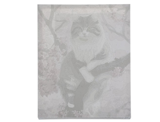Tapymo paveikslas pagal skaičius 40x50cm Katė internetu