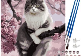 Painting by numbers 40x50cm Cat