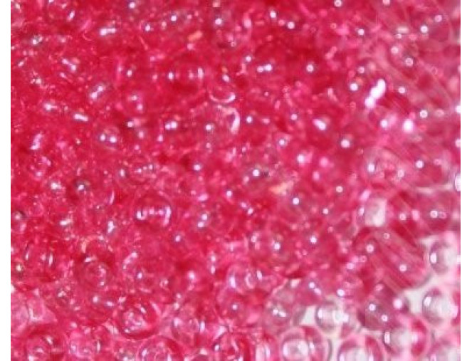 Preciosa Pearl 10/0 73180 Pink