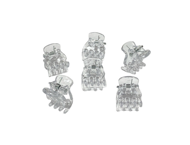 Hair clips Transparent 6pcs.