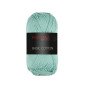 Basic cotton Pro lana | Mint 61